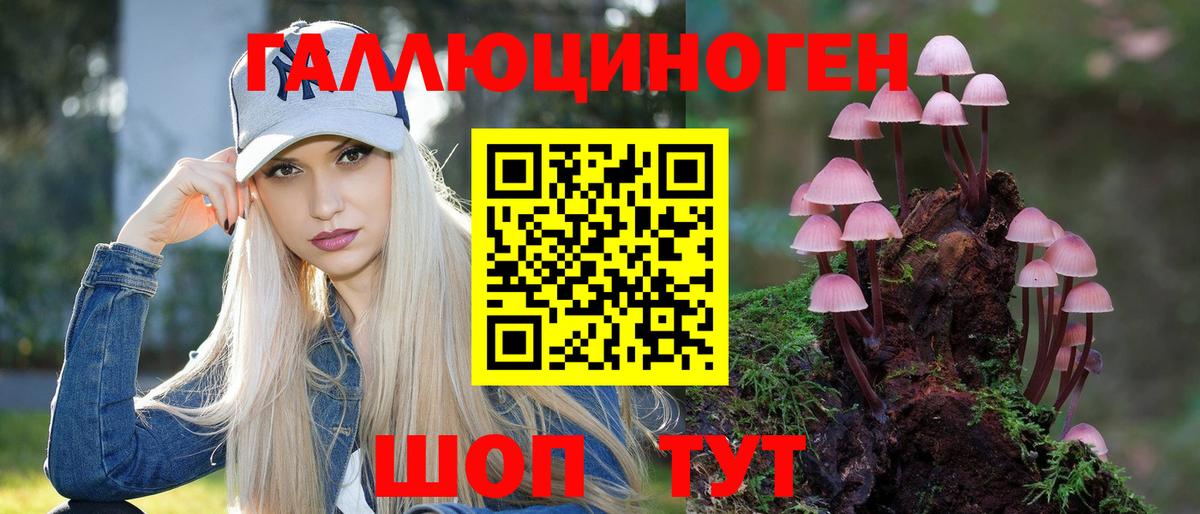 Псилоцибиновые грибы Psilocybine cubensis Асино